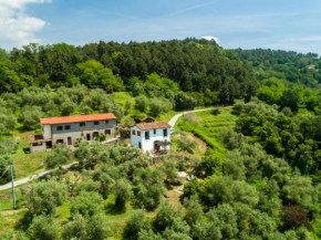 Beautiful holiday home with private swimming pool and stunning rural view Pescia